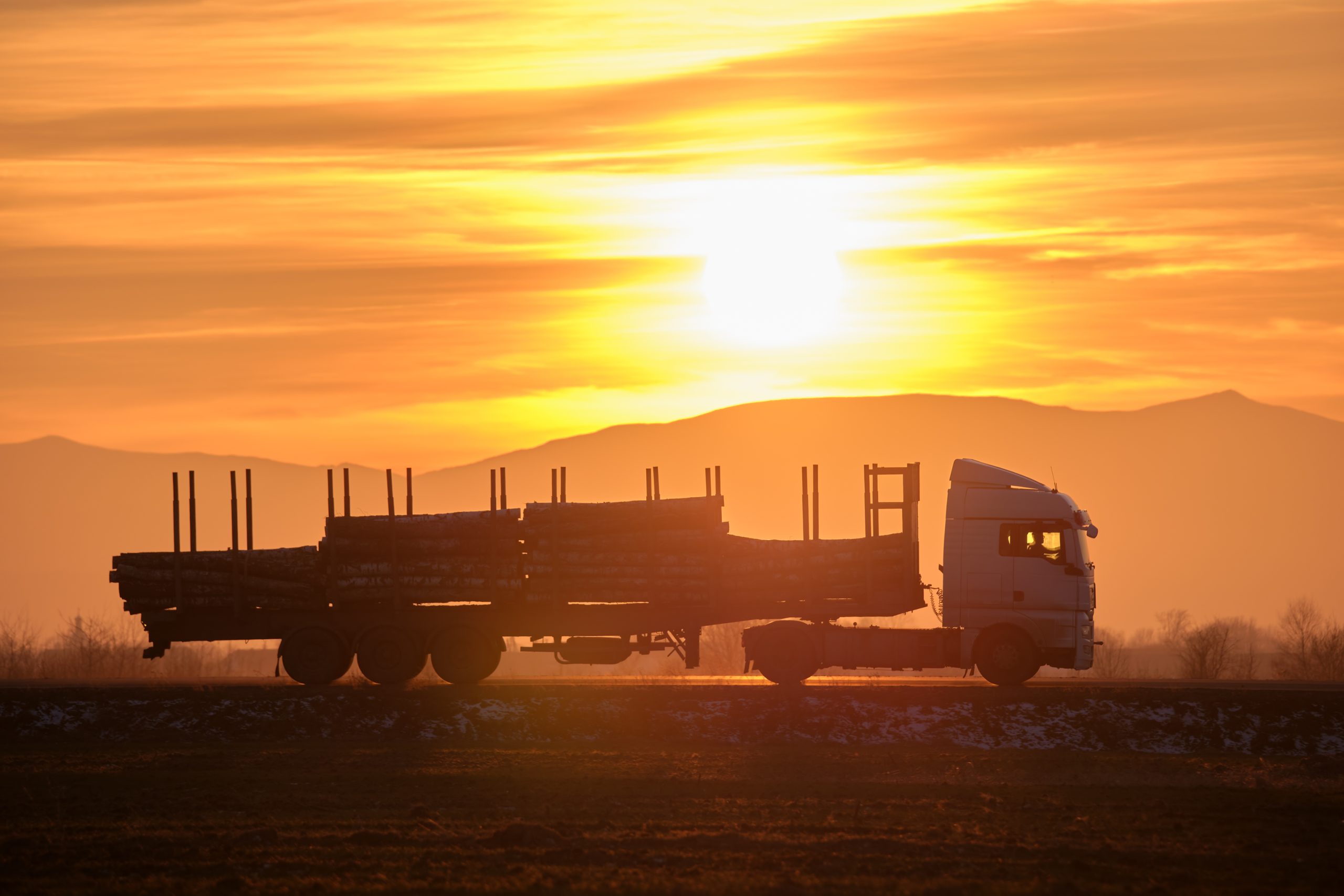 Semi-truck with cargo trailer driving on highway hauling cut down trees in evening. Timber delivery and logistics concept